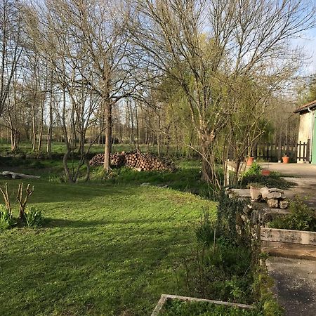 Ancien Moulin A Eau Sur La Seugne Leilighet Mosnac  Eksteriør bilde